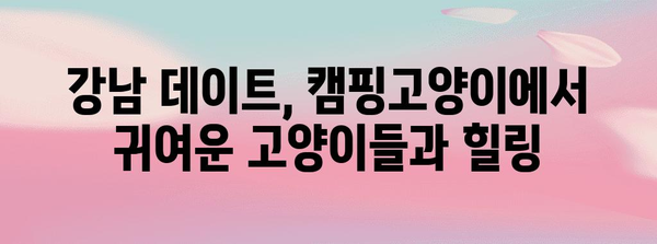 강남 이색 데이트 | 고양이 카페 캠핑고양이에서 특별한 야영