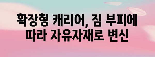 확장형 캐리어 선별 가이드 | 용량, 기능, 브랜드 대조