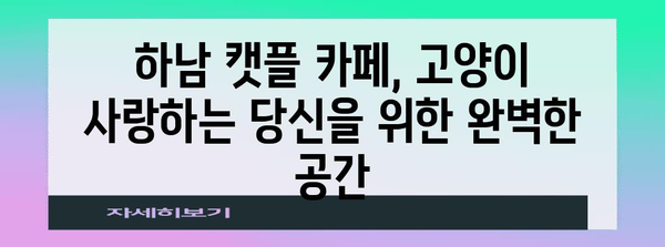 하남 고양이 천국 | 캣플 카페 탐방기
