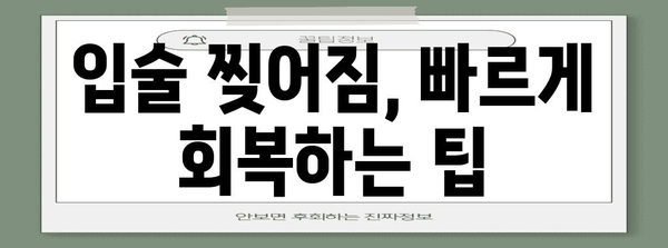 입술 찢어짐의 원인과 완벽한 해결책