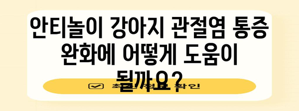 강아지 관절염 통증을 완화하는 안티놀의 효능