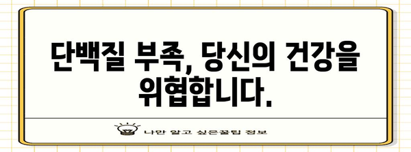 필수 단백질 가이드 | 건강한 삶의 기반