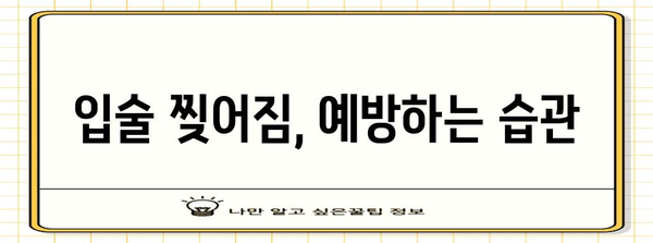 입술 찢어짐의 원인과 완벽한 해결책