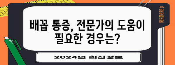 노인 돌봄 | 오른쪽 배꼽 통증의 원인 이해와 관리