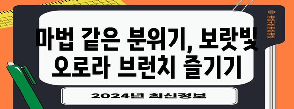 수디 브런치 카페에서 보랏빛 오로라 경험하기 | 신비로운 분위기 가이드