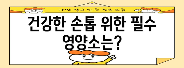 손톱 건강 향상 가이드 | 원인 파악, 필수 영양소, 종합 건강 관리