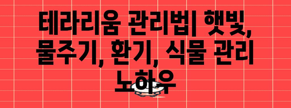나만의 아름다운 테라리움 만들기 | 미니 정원 DIY 가이드