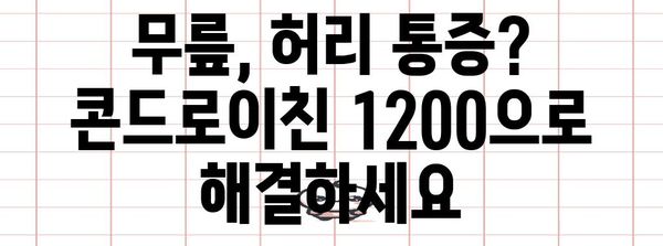 - 50대 관절 및 연골 건강 증진을 위한 콘드로이친 1200 가이드