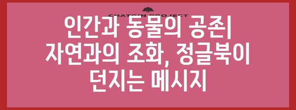 킵플링의 정글북 | 동물의 세계를 통한 인간 본성의 탐구