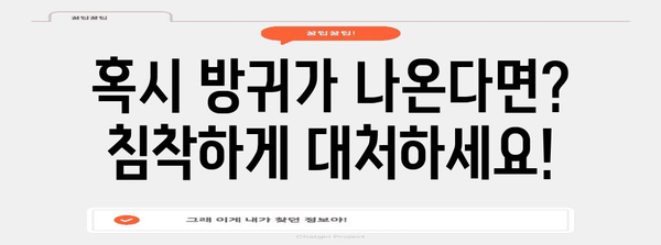 수능 당일, 방귀 폭탄?! 🤫  수능 방귀 대처법 완벽 가이드 | 수능, 시험, 스트레스, 긴장, 꿀팁