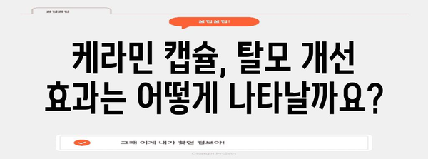 비호르몬성 탈모 완화 케라민 캡슐 | 효과와 사용법