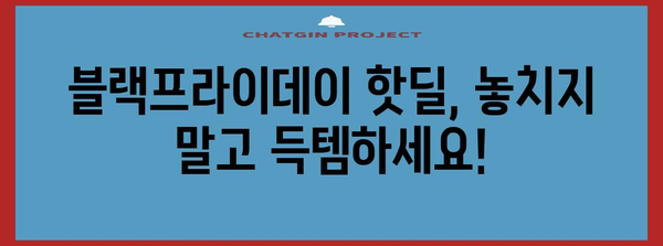 한국 블랙프라이데이 세일 핫딜 품목 총정리 |  전자제품, 패션, 화장품, 최저가 정보