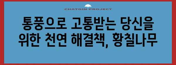 황칠나무의 기적 | 요산치 관리와 통풍 예방의 천연 대안