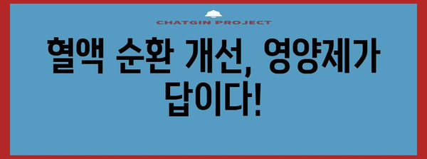 혈액 순환 개선 영양제 추천 | 건강 문제 해결