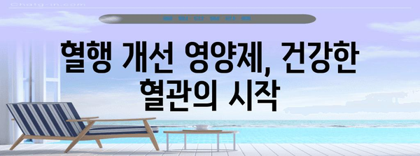 혈행 개선 영양제로 건강한 혈관 탈바꿈!