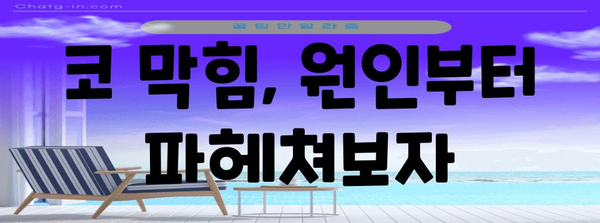 코 막힘 완벽 대처 가이드 | 원인, 해결책 총망라
