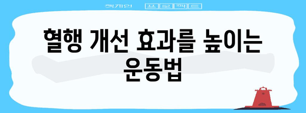 혈행 개선을 위한 실용적인 팁과 솔루션