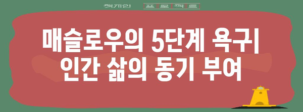 매슬로우 욕구 5단계 이해하기| 동기 부여와 성장의 비밀 | 심리학, 자기계발, 인간관계