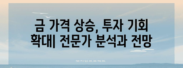 국제 금 가격 전망 | 지속적인 상승 추세