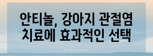 강아지 관절염 통증을 완화하는 안티놀의 효능