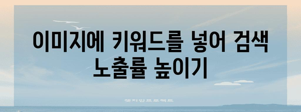 구글 이미지 검색 노출 극대화 가이드 | 활성화 방법부터