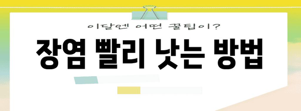 장염 극복 가이드 | 증상, 식단, 회복 방법 알아보기