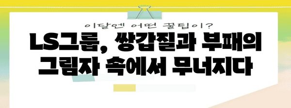 LS그룹 사태 분석 | 쌍갑질 파산 내막과 내부 부패 심층 추적