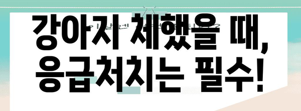 강아지 체한 SOS | 삼전동 동물병원의 대처법