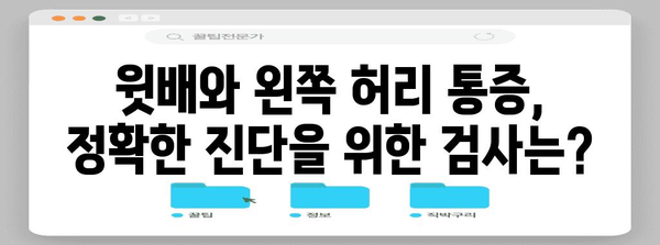 윗배와 왼쪽 허리 통증의 원인과 해결책 파악하기