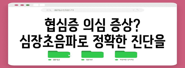 심장초음파로 협심증 조기 진단하기