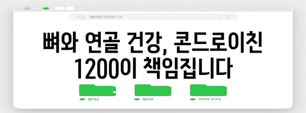 - 50대 관절 및 연골 건강 증진을 위한 콘드로이친 1200 가이드