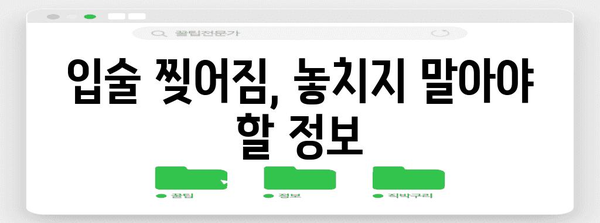 입술 찢어짐의 원인과 완벽한 해결책