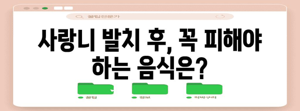 사랑니 발치 후 회복을 위한 7가지 식단 팁