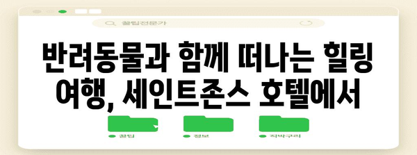 강릉 호캉스 명소 | 애견 동반 가능한 세인트존스 호텔