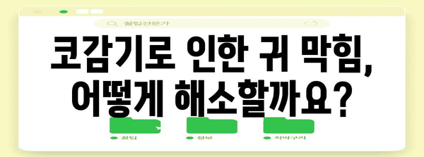 코감기와 귀 막힘의 이해와 예방법