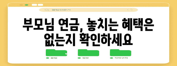 국민연금 수령 극대화 | 부모님 연금 체크