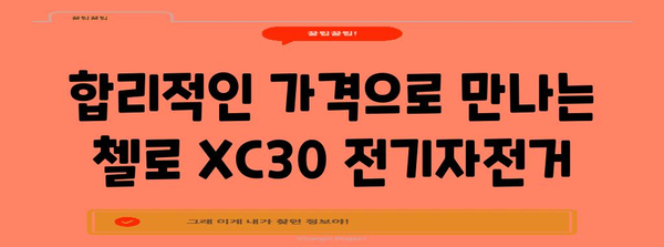 부산산 첼로 XC30 전기자전거 대특가 | 놓치지 마세요!