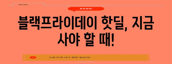 한국 블랙프라이데이 세일 핫딜 품목 총정리 |  전자제품, 패션, 화장품, 최저가 정보