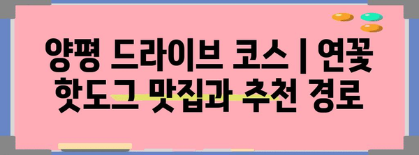 양평 드라이브 코스 | 연꽃 핫도그 맛집과 추천 경로