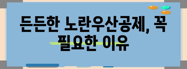 노란우산공제 가이드 | 자영업자 필수 보험의 모든 것