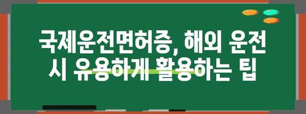 국제운전면허증 발급 완벽 가이드 | 절차, 서류, 수령 방법, 주의 사항