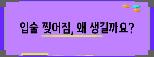 입술 찢어짐의 원인과 예방 | 자가 관리 팁