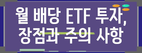 월 배당 ETF로 수동적 소득 극대화 | 최고 ETF 추천과 투자 노하우