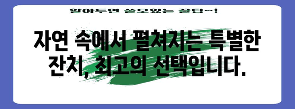 추억을 남기는 특별한 숲속 독채 잔치 펜션