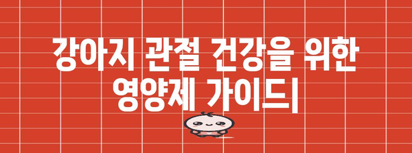 강아지 건강 관리 | 관절 건강을 지키는 영양제 가이드