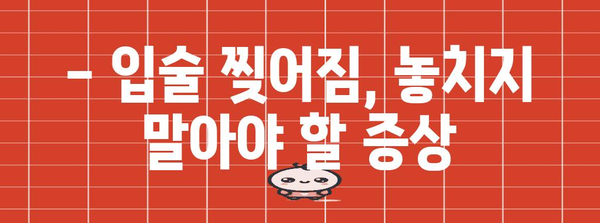 입술 찢어짐 원인 파헤치기 | 예방과 치유 팁