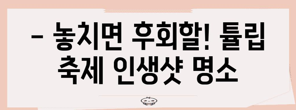 튤립 축제 완벽 가이드 | 입장료, 카페, 개화 정보