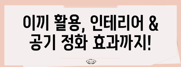 이끼 키우기 가이드 | 종류, 관리법, 커뮤니티 정보