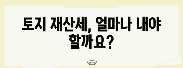 토지 재산세 절약 3단계 법칙 | 부과 기준부터 납부 시기까지