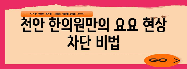 요요 현상 차단 | 천안 한의원 맞춤 과정의 비밀